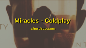 The only exception Guitar Chords by Paramore